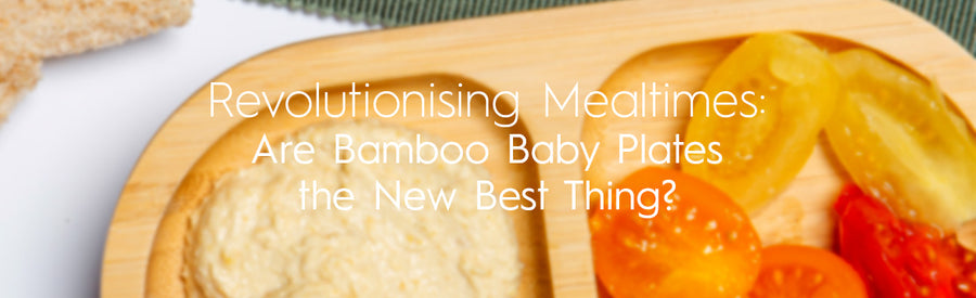 bamboo baby plates blog
