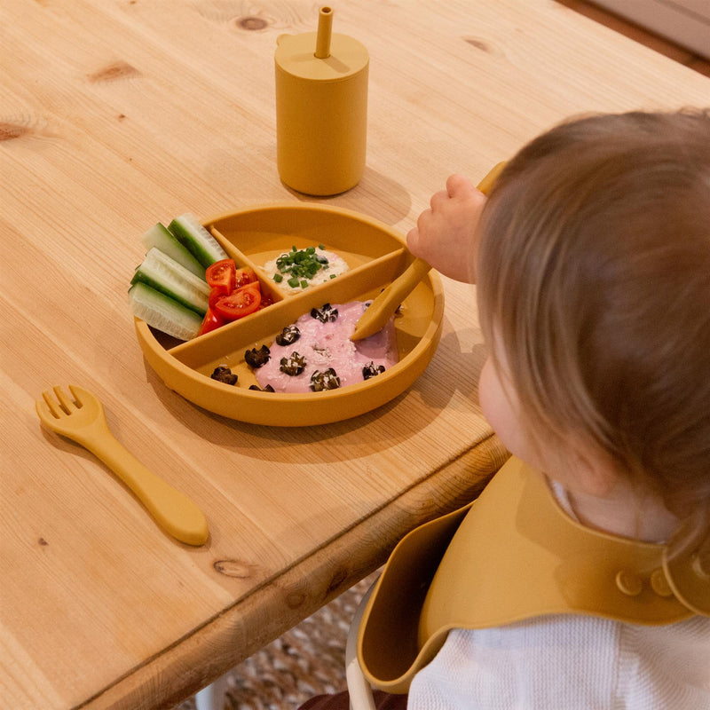 Divided Silicone Baby Suction Plate