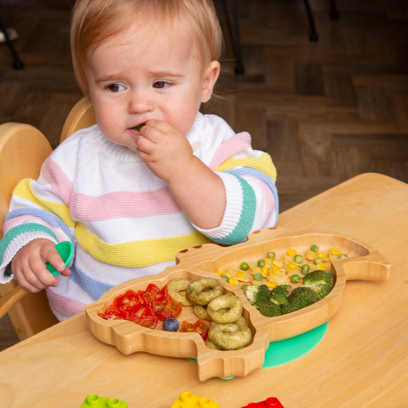 Dani The Dinosaur Bamboo Suction Dinner Set TinyDining