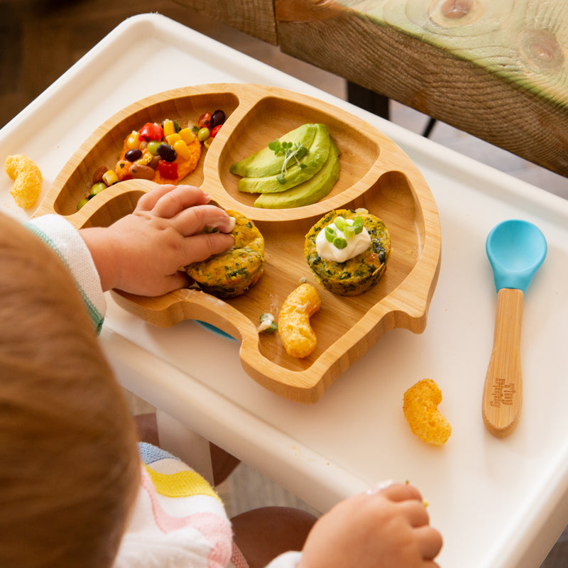 Suction plate online